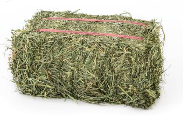 Orchardgrass Hay Bale